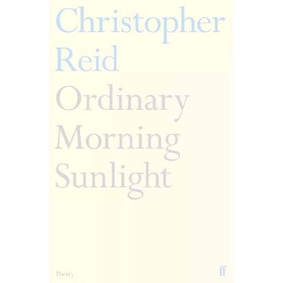 Ordinary Morning Sunlight image 0