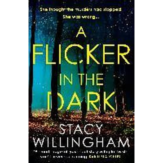 A Flicker in the Dark image 0