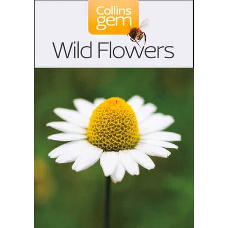 Wild Flowers Wild Flowers