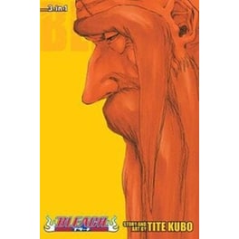 Bleach (3-in-1 Edition), Vol. 20