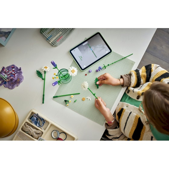 LEGO® Botanicals Daisies (11508) image 3