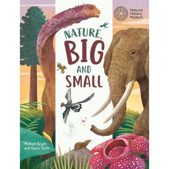 Big and small: nature, big and small image 0