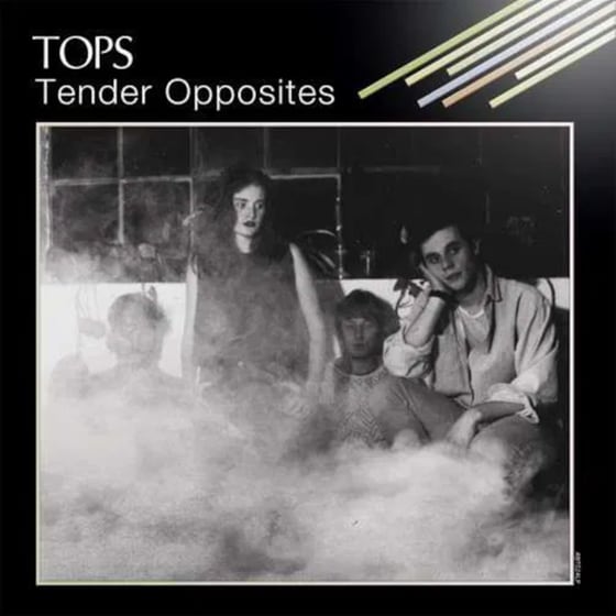 TENDER OPPOSITES (LP) image 0