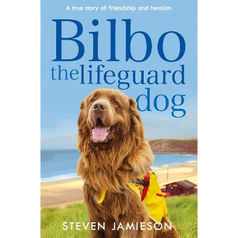 Bilbo the Lifeguard Dog