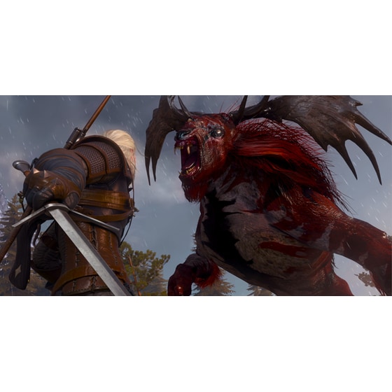 The Witcher 3: Wild Hunt Complete Edition - PS5 image 2