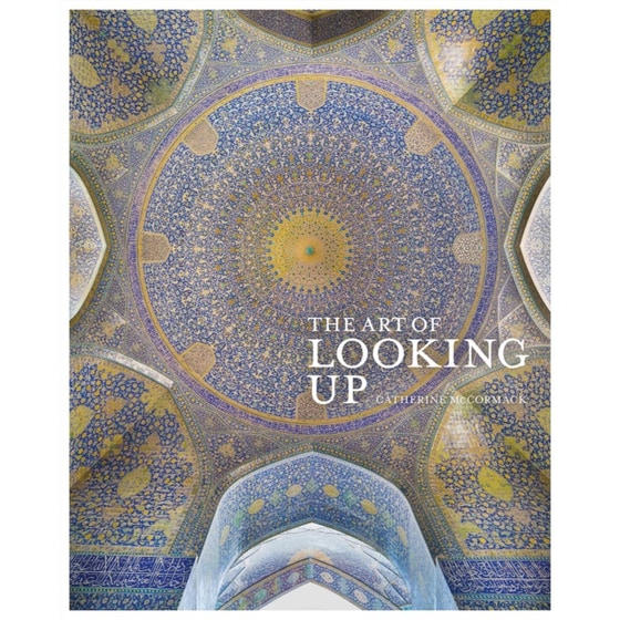 Art of Looking Up image 0