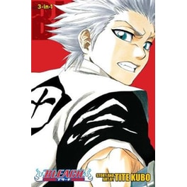 Bleach (3-in-1 Edition), Vol. 6