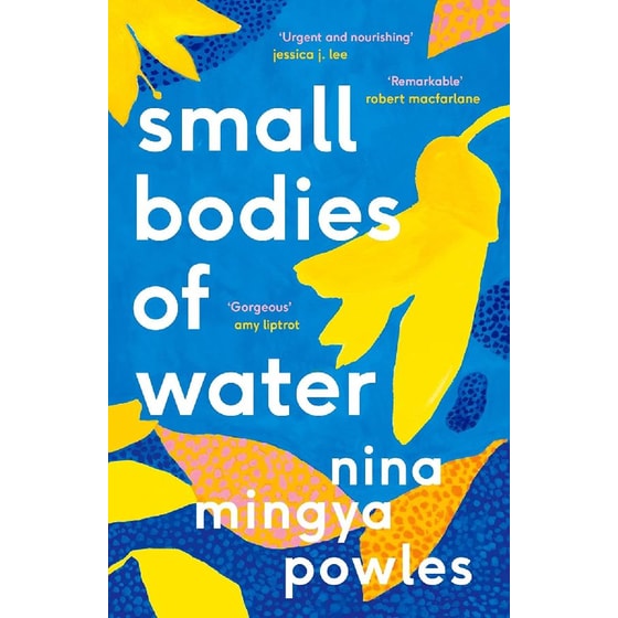 Small Bodies of Water image 0