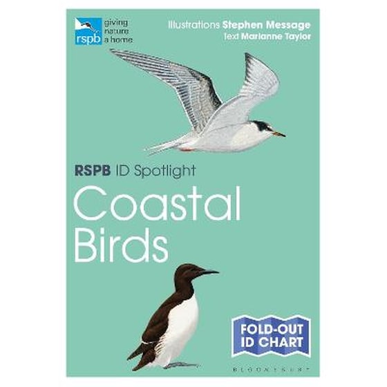 RSPB ID Spotlight - Coastal Birds image 0