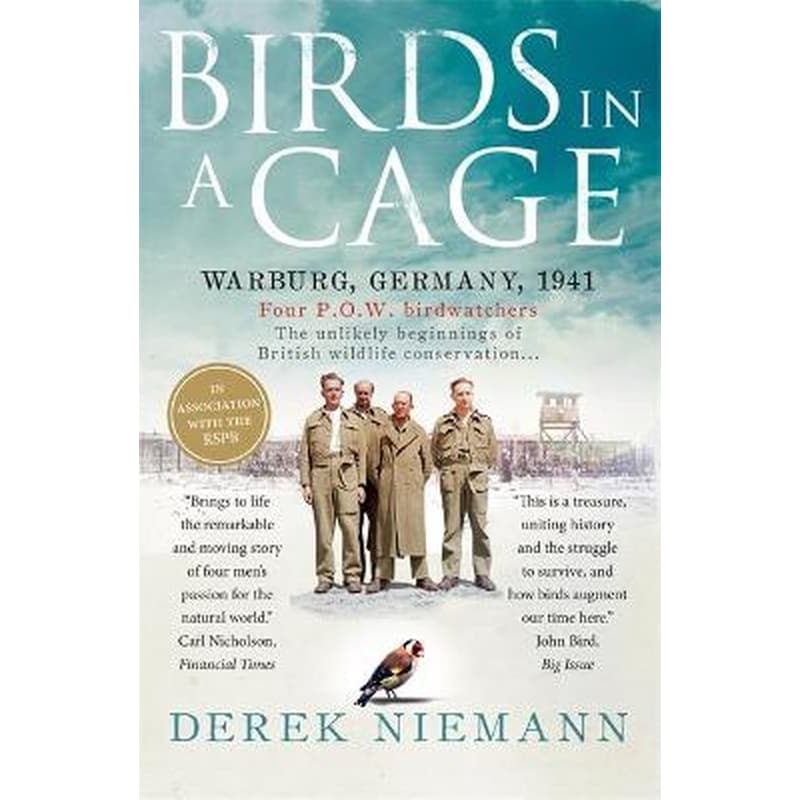 Birds in a Cage