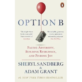 Option B