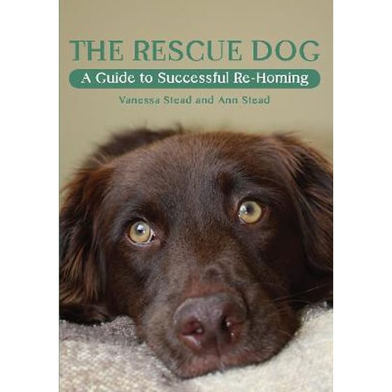Rescue Dog image 0