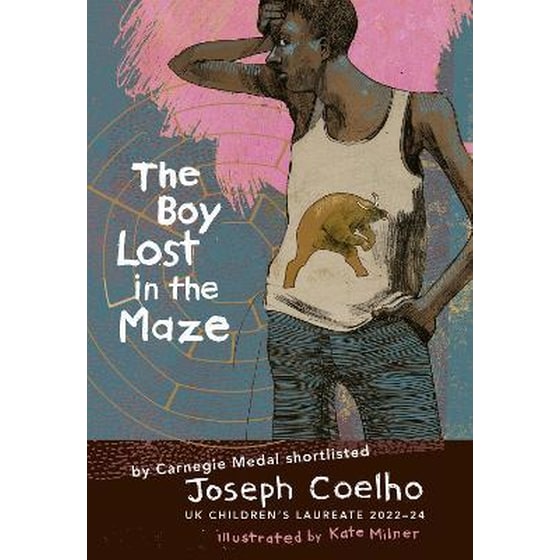 The Boy Lost in the Maze image 0