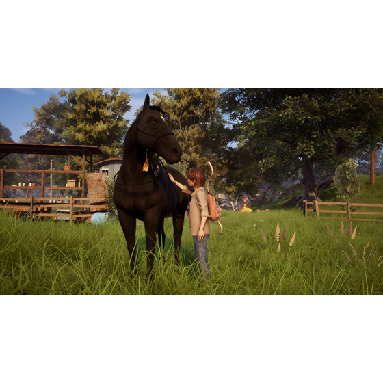 Windstorm: An Unexpected Arrival - Nintendo Switch image 2