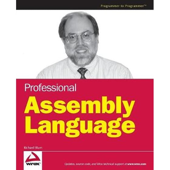 Professional Assembly Language image 0
