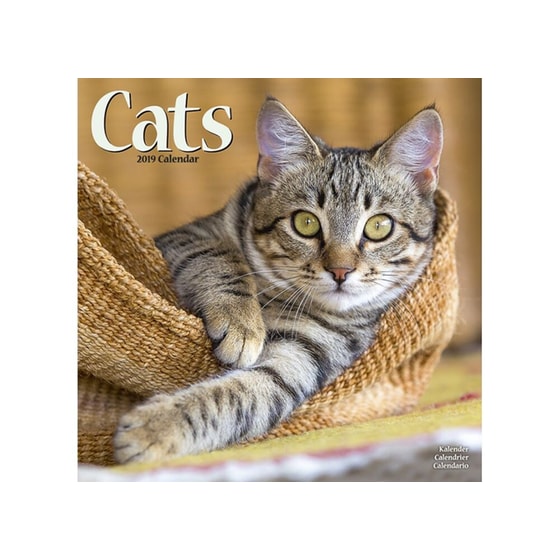 Ημερολόγιο Avonside 2019 Μηνιαίο  Τοίχου Cats Extra Large image 0