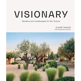 Visionary