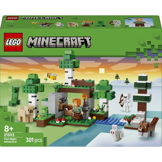 LEGO® Minecraft® First Night Adventure (21593) image 0