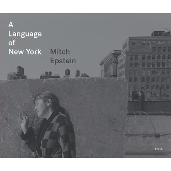 A Language of New York image 0