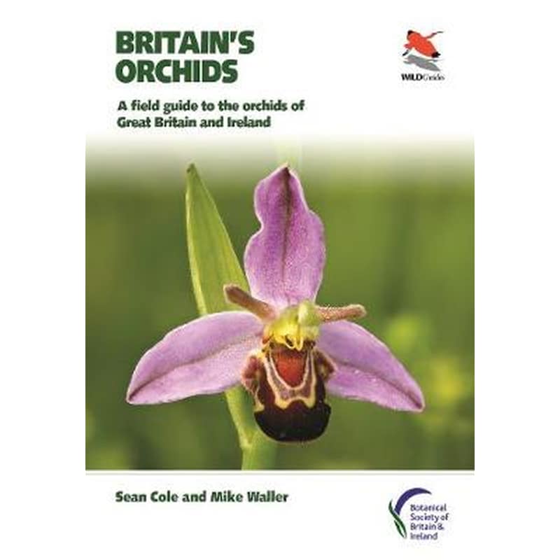 Britains Orchids
