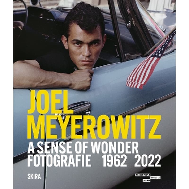 Joel Meyerowitz: A Sense of Wonder (Bilingual edition)
