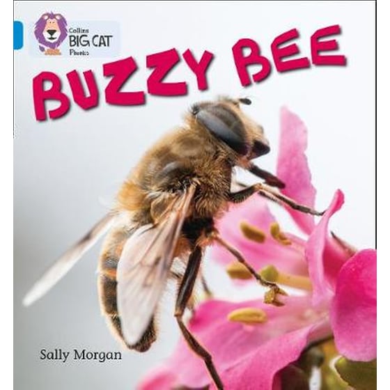 Buzzy Bees Buzzy Bees- Band 04/Blue image 0