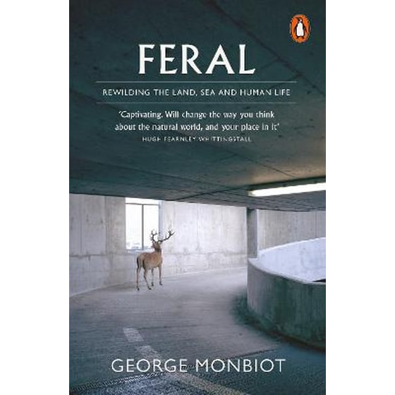 Feral image 0