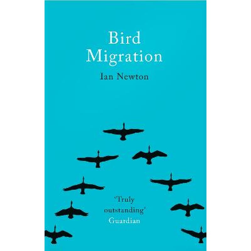 Bird Migration