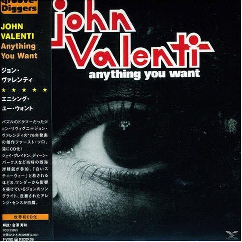Anything You Want (Japan Version)