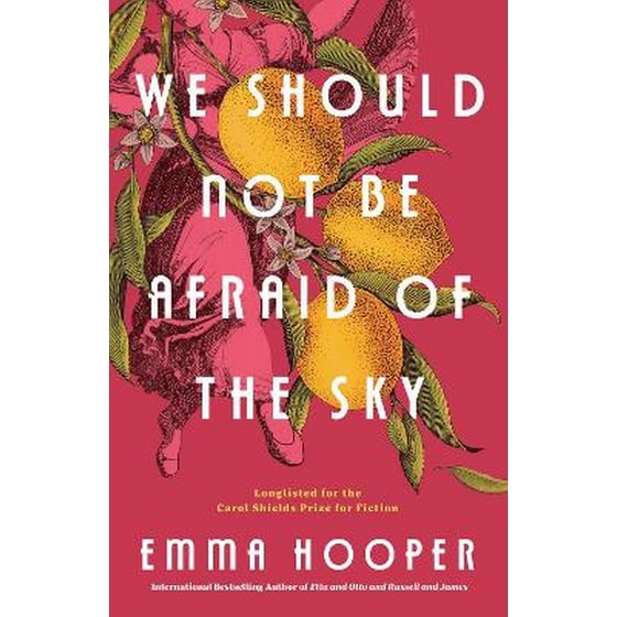 We Should Not Be Afraid Of The Sky image 0