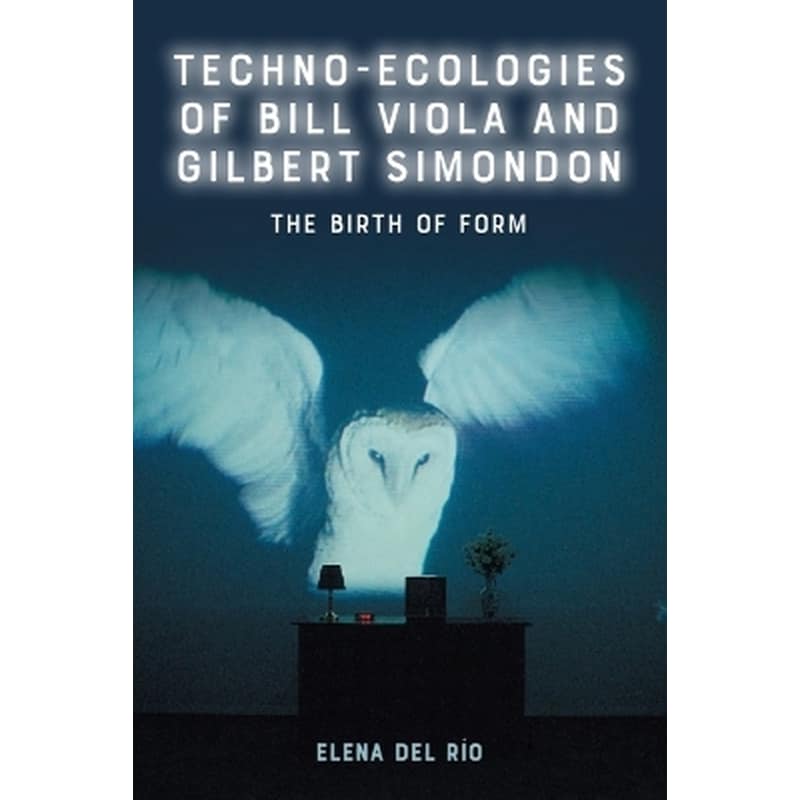 Techno-Ecologies of Bill Viola and Gilbert Simondon