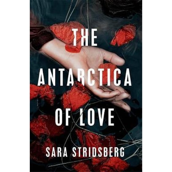 The Antarctica of Love image 0