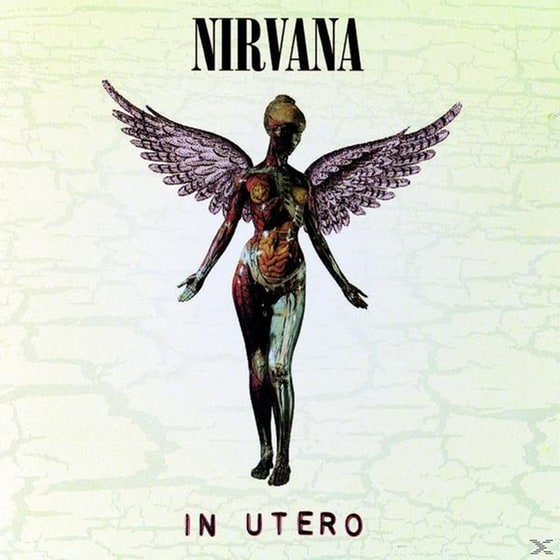 In Utero image 0