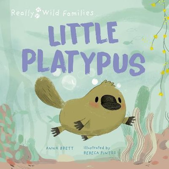 Little Platypus : A Day in the Life of a Platypus Puggle image 0