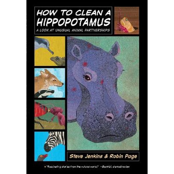 How to Clean a Hippopotamus: A Look at Unusual Animal Partnerships image 0