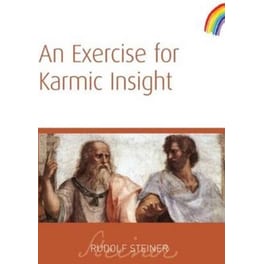 An Exercise for Karmic Insight