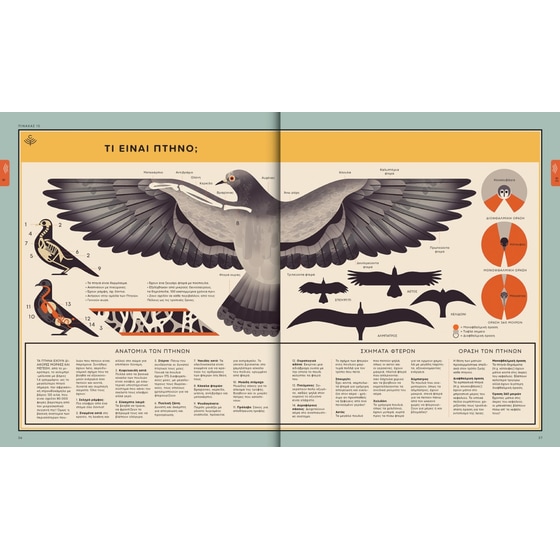 Φυσικός κόσμος image 3