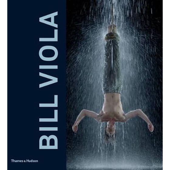 Bill Viola image 0