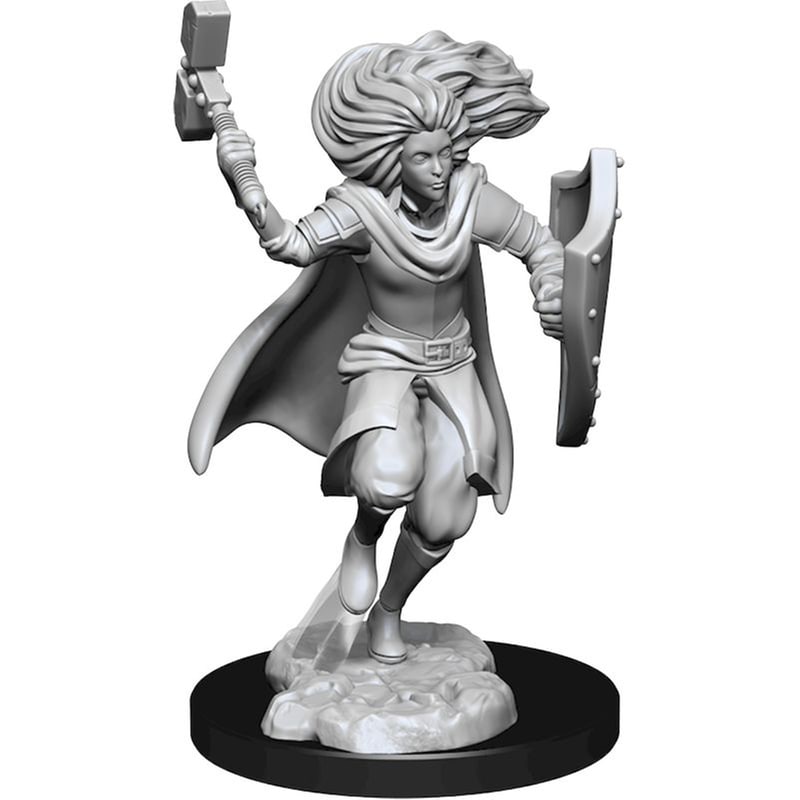 WIZKIDS Dandd Nolzurs Marvelous Μινιατούρες - 2x Changeling Male Cleric