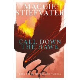 Call Down the Hawk: The Dreamer Trilogy #1