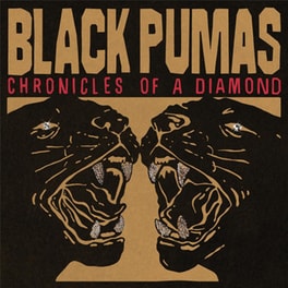 Chronicles Of A Diamond (Deluxe)