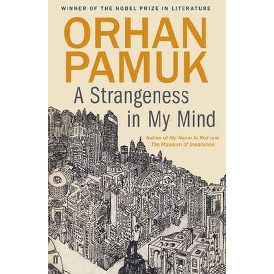 A Strangeness in My Mind image 0