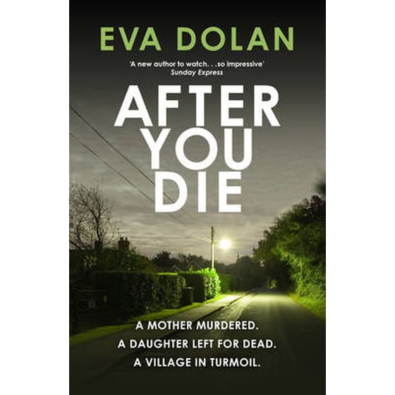 After You Die image 0