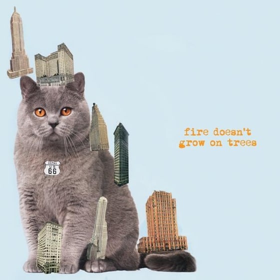 Fire Doesn't Grow On Trees image 0