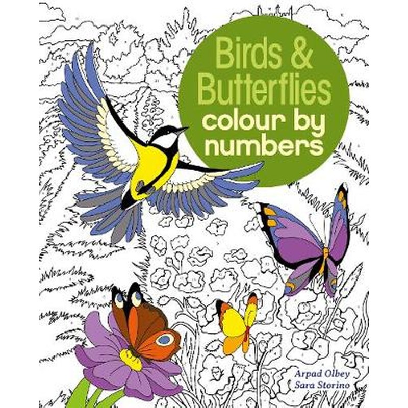 Birds Butterflies Colour by Numbers