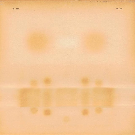 Dr. Dog image 1
