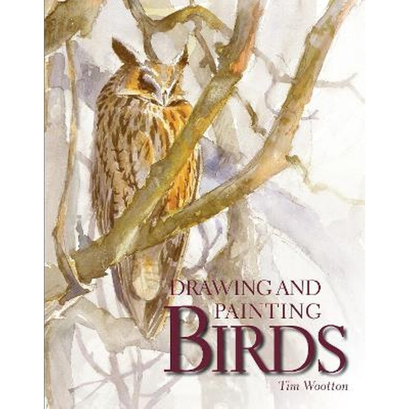 Drawing and Painting Birds