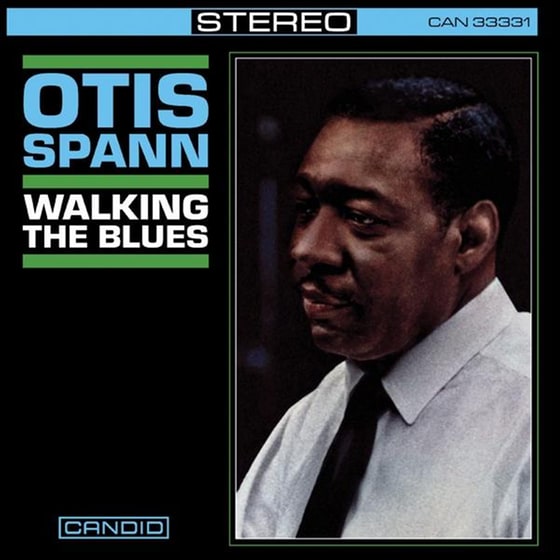 Walking The Blues image 0