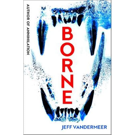 Borne image 0