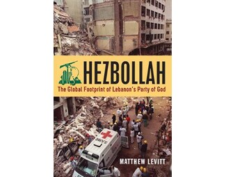 Hezbollah image 0